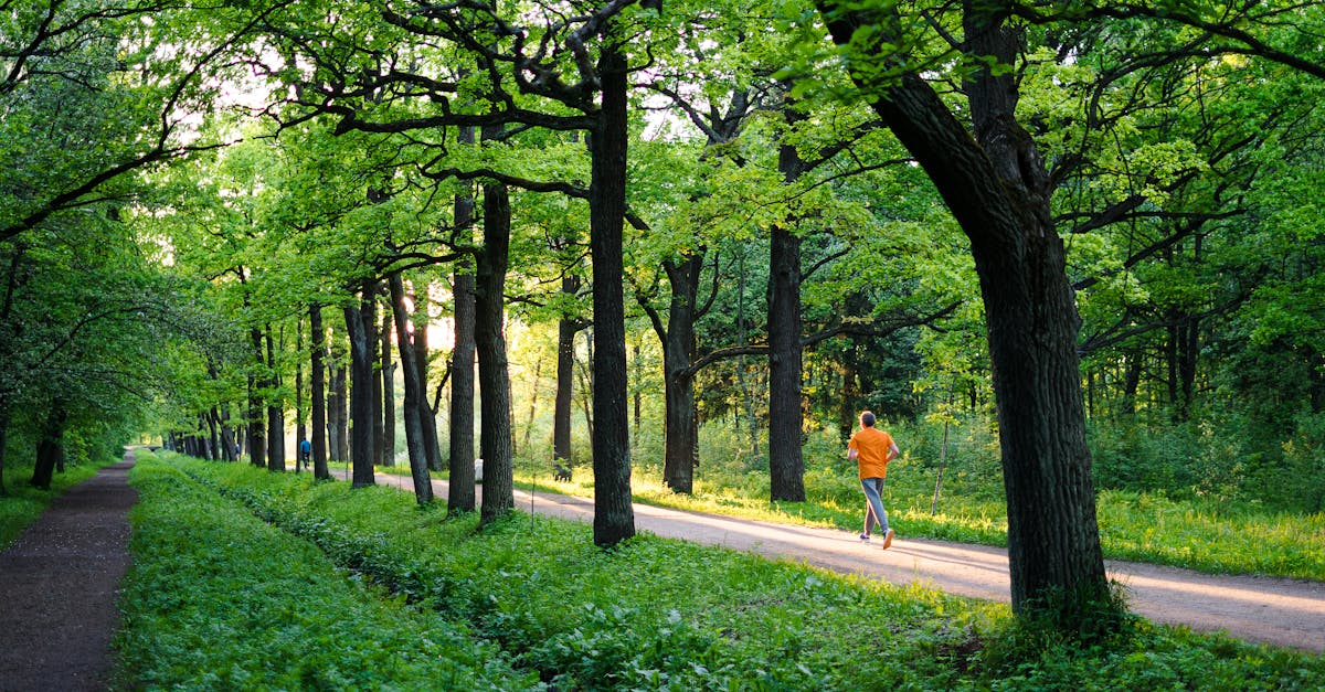 Sweden Backyard Ultra