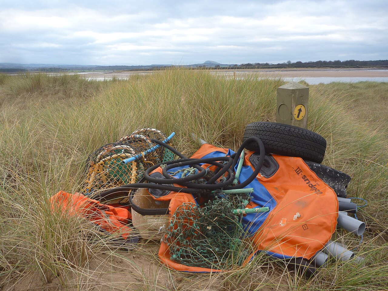 The Coastal Challenge