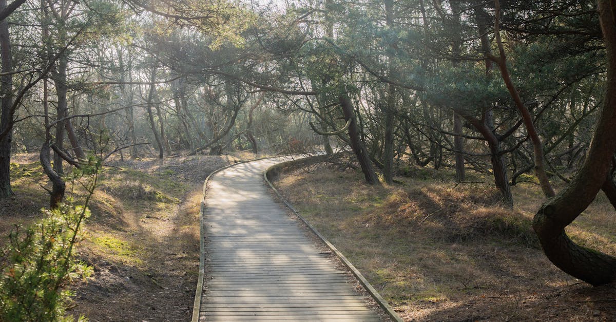 Cordillera Mountain Ultra