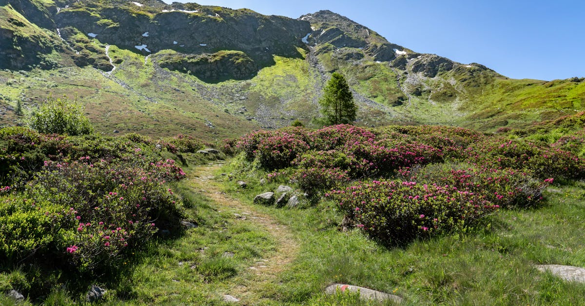 Innsbruck Alpine Trailrun Festival