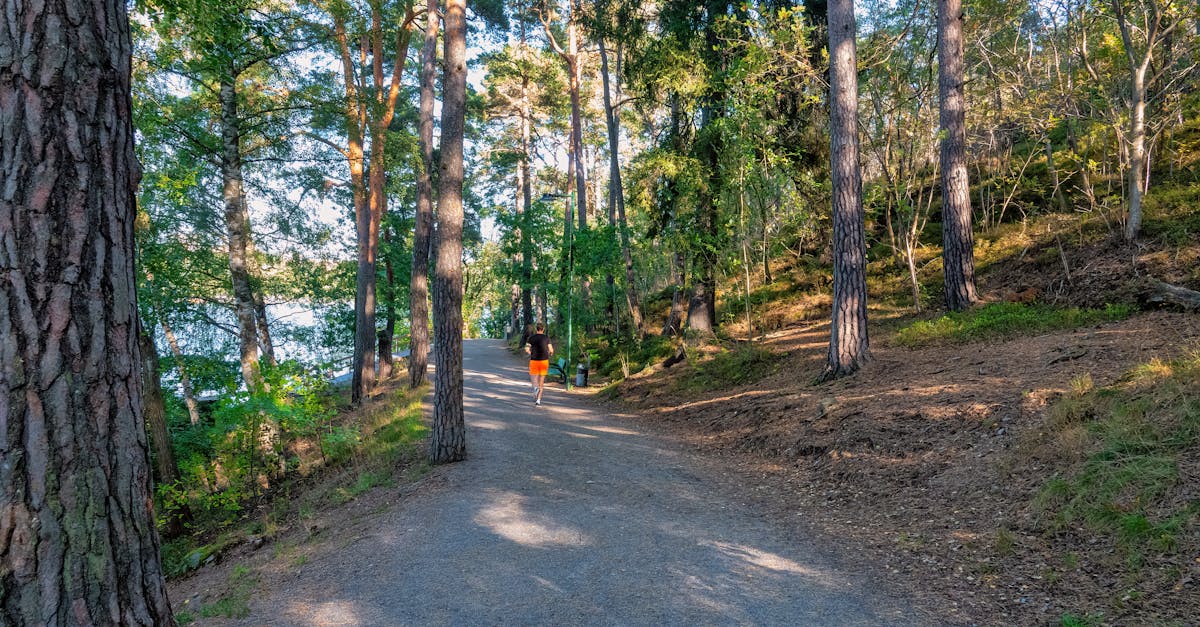 Massanutten Mountain Trails 100
