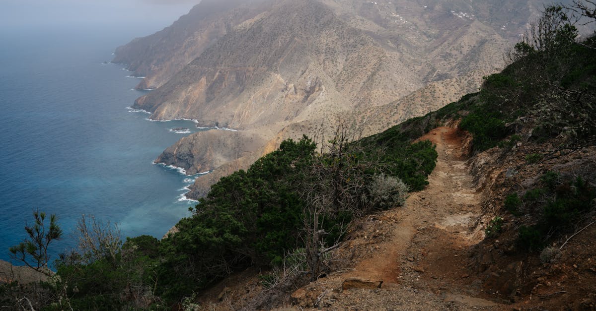 Tromsø Midnight Sun Marathon Ultra