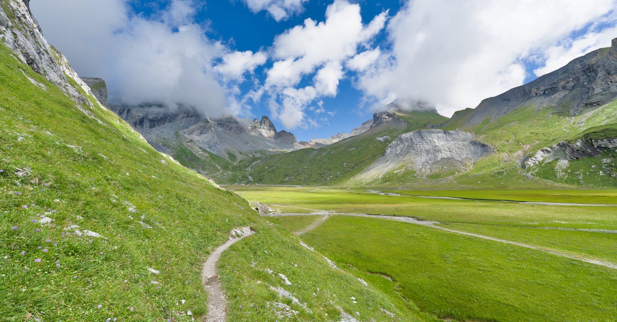 Ultra Pirineu 100 Mile