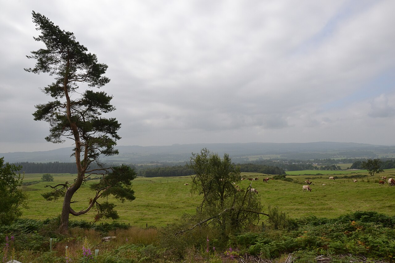 West Highland Way Race
